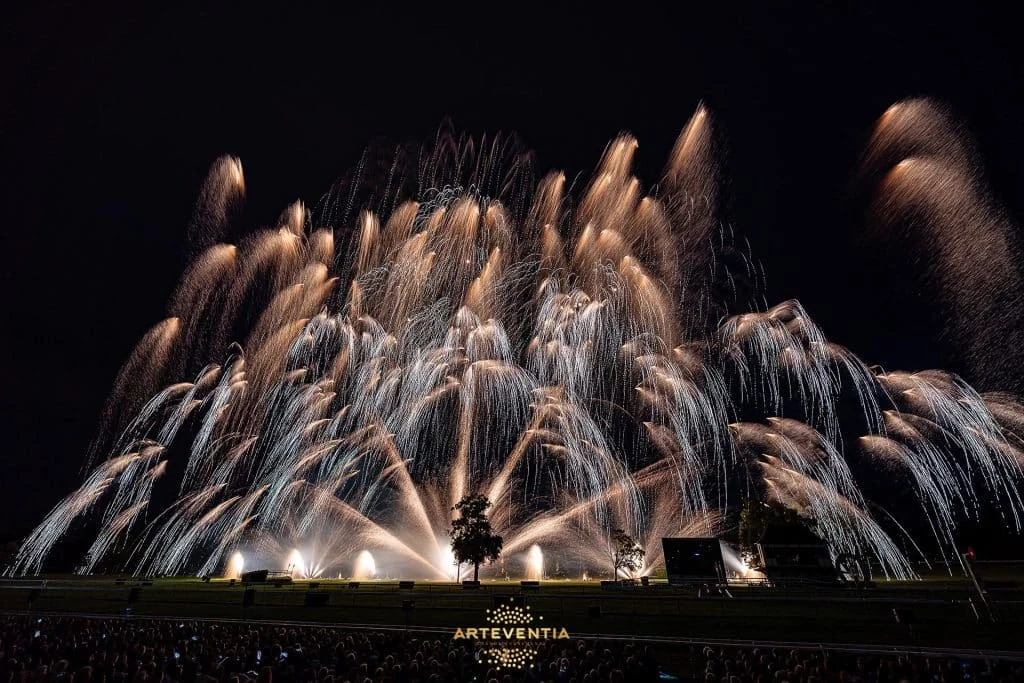 ARTEVENTIA - Les Masters de Feu - Arthur LEPLA - WM01 Feu d'artifice dorés et argentés au dessus du public
